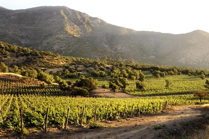 Small-Group Maipo Vineyards Full-Day Experience With Optional Lunch - Good To Know