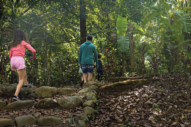 Small-Group Mangrove Hike (Feb ) - Good To Know