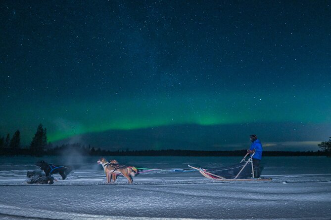 Small Group Northern Lights Mushing Experience in Rovaniemi - Pickup Information