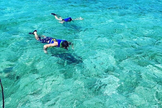 Small-Group Snorkeling Experience at Sea Garden
