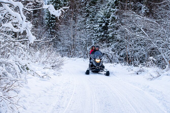 Small-Group Snowmobile Experience in Rovaniemi - Good To Know