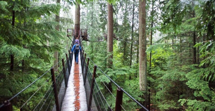 Small Group Tour of Capilano Bridge & Grouse Mountain