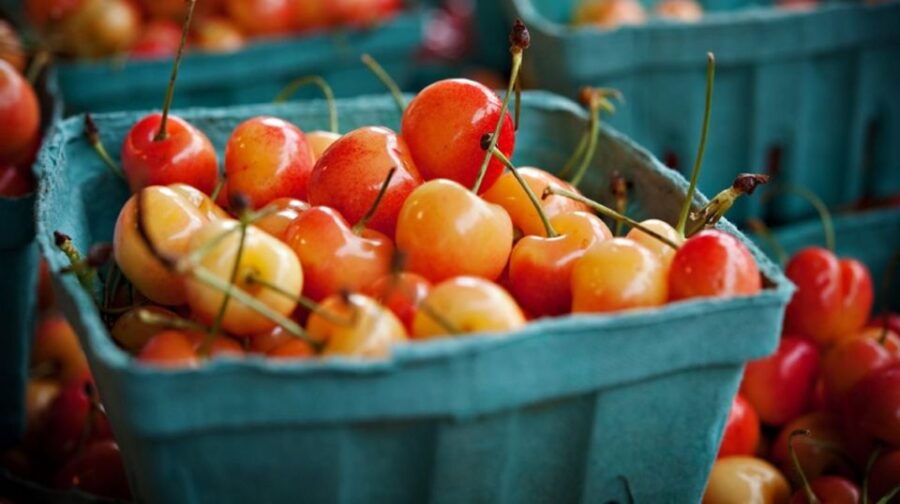 Snack Safari in Pike Place Market