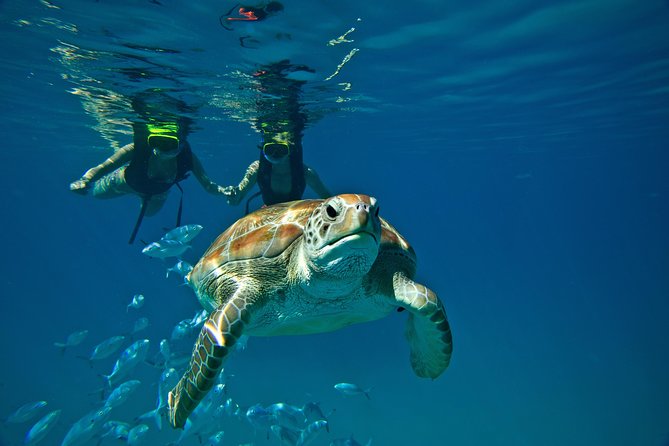 Snorkel Sunset Cruise In Barbados