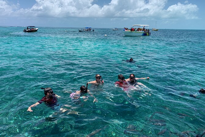 Snorkeling Adventure With Transportation From Belize City (Feb )