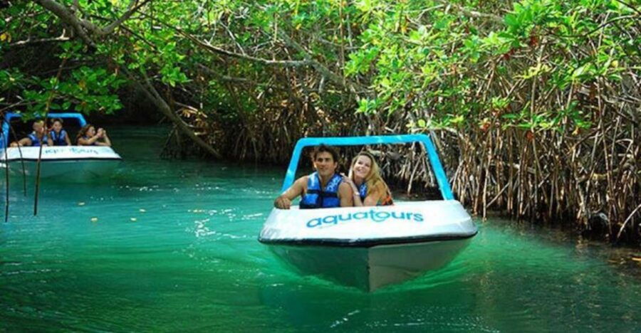 Snorkeling and Speed Boat Tour - Good To Know