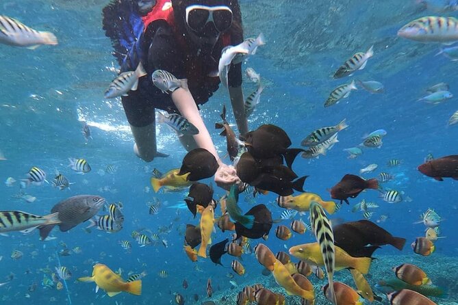 Snorkeling at Blue Lagoon and Hidden Waterfall