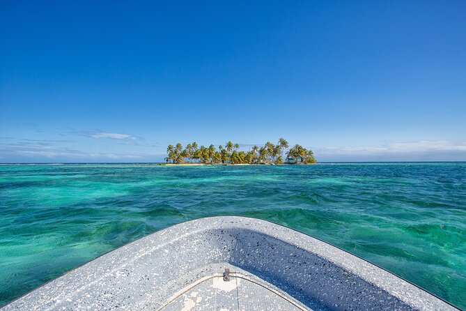 Snorkeling at Silk and Moho Caye - Good To Know