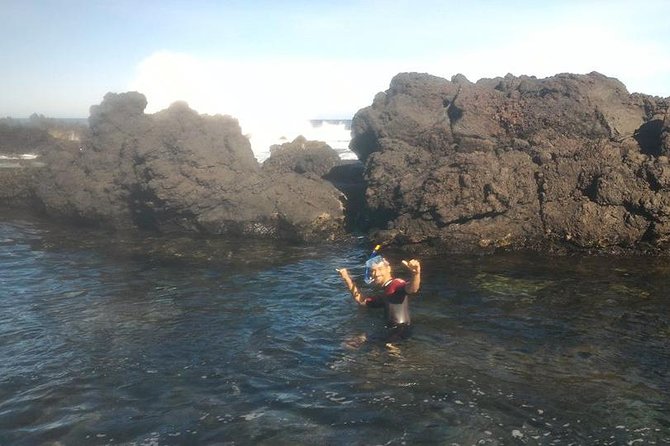 Snorkeling Experience in Terceira, Azores - Good To Know
