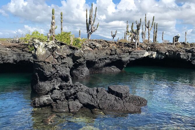 Snorkeling in Cabo Rosa Tunnels Isabela Island