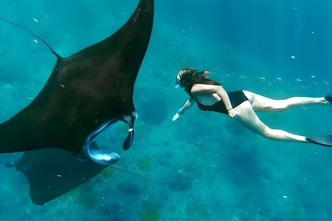 Snorkeling In Nusa Penida Departing From Bali Island,Snorkeling in Blue Paradise