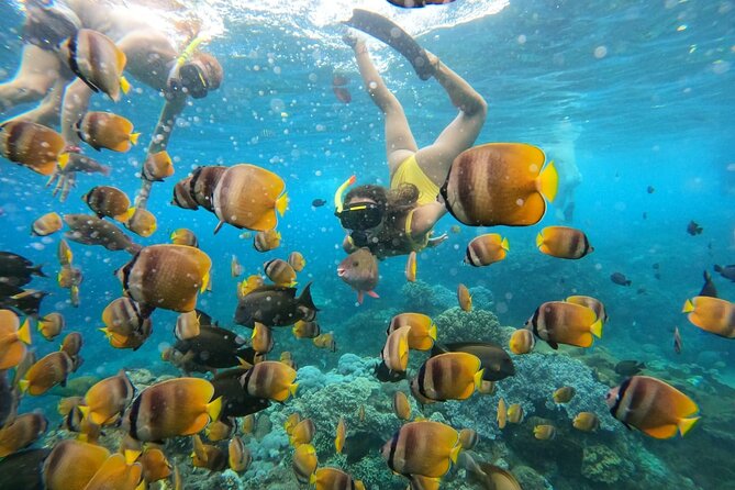 Snorkeling In Nusa Penida Island With Manta Ray From Bali