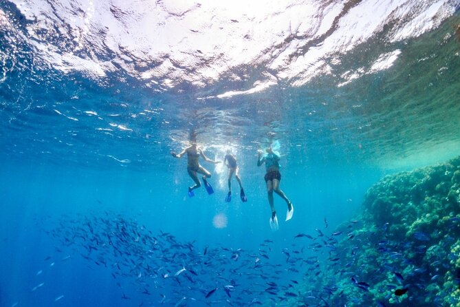 Snorkeling in the Plemmirio Reserve in Syracuse