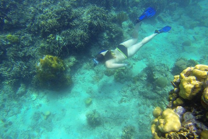 Snorkeling on the Caribbean Side of Panama - Good To Know