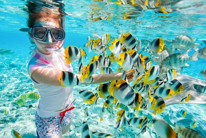 Snorkeling Tour at Paradise Island Hurghada - Good To Know