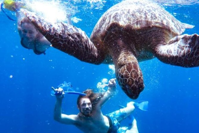 Snorkeling Tour In Gili Trawangan, Gili Meno And Gili Air Pick Up From Bali - Good To Know