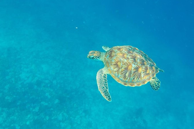 25 Best Snorkeling Experiences In Lombok