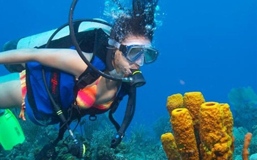 Snorkeling Trip From Polhena Beach, Matara, Sri Lanka - Good To Know