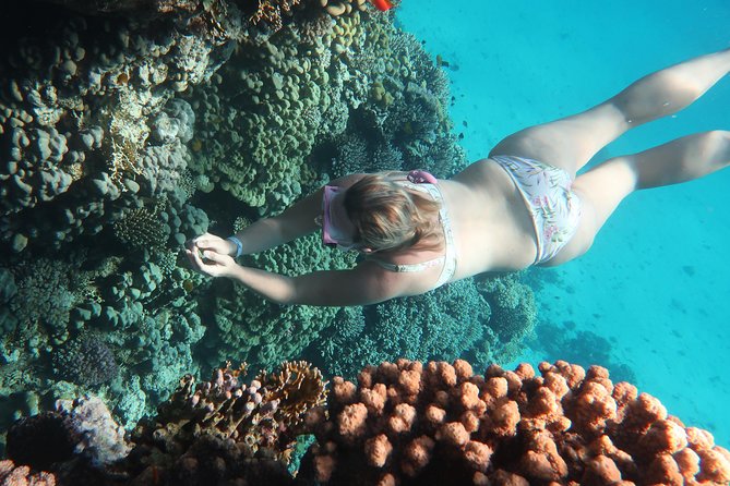 Snorkeling Trip in Red Sea