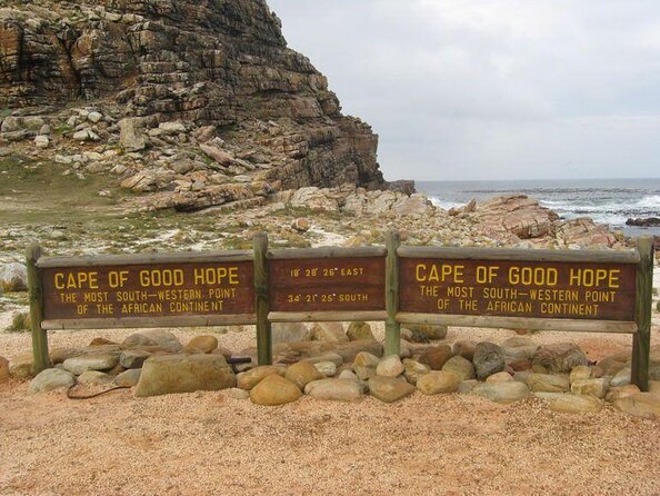 Snorkeling With Seals and Cape Peninsula Full-Day Private Tour