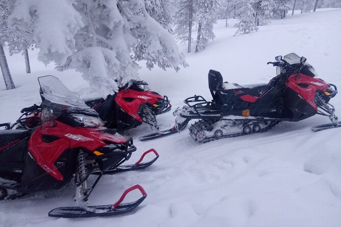 Snowmobile and Ice Fishing Excursion (Private Tour) - Good To Know