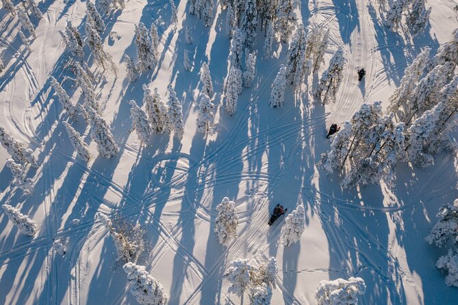 Snowmobile & Animals Day Tour