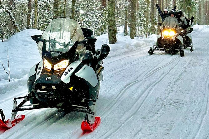 Snowmobile Safari to Arctic Nature - Pricing and Booking Information