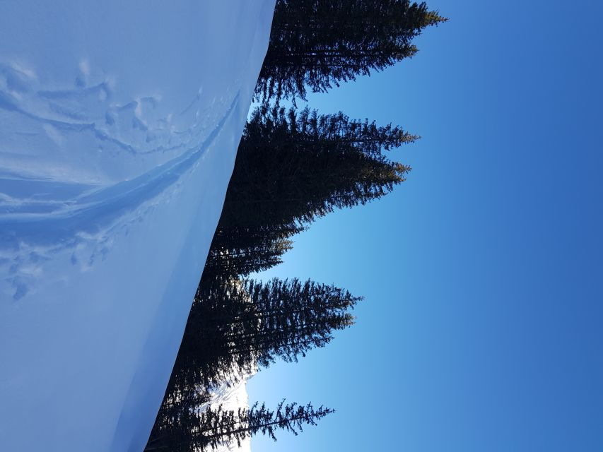 Snowshoe Tour At Full Moon With Fondue Meal