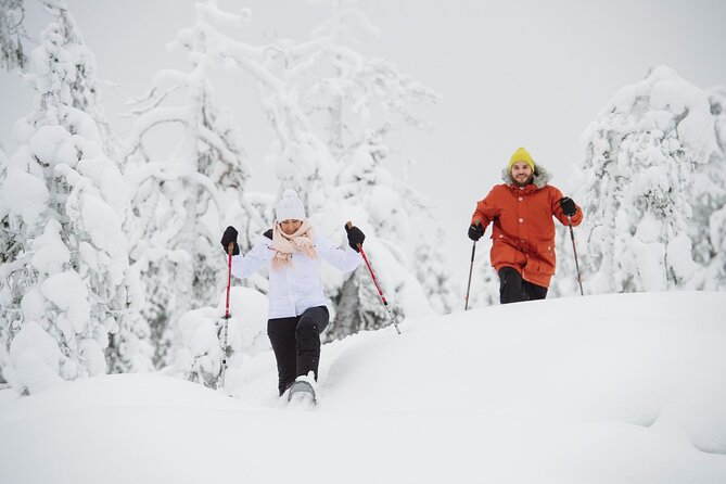 Snowshoe Trekking With Campfire BBQ From Rovaniemi - Good To Know