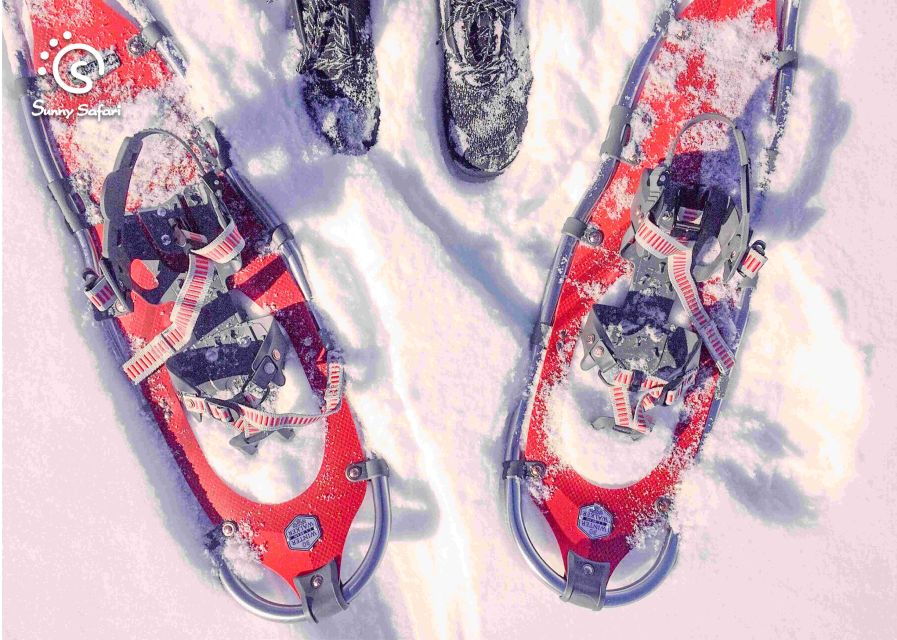Snowshoeing in Lapland Wilderness