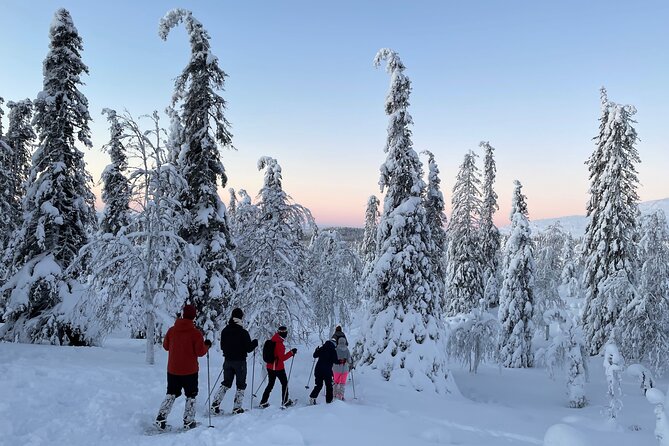 Snowshoeing in Pallas-Yllästunturi National Park