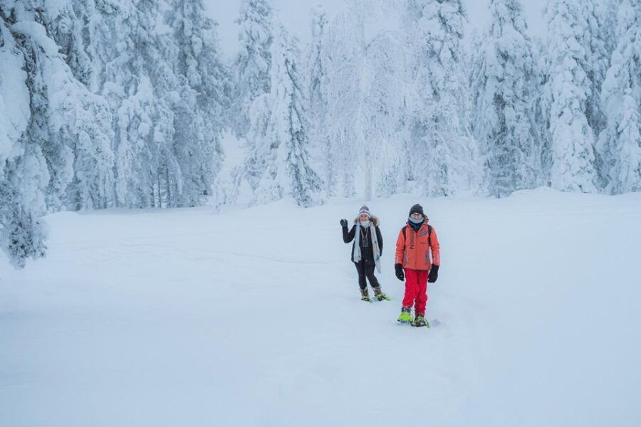 Snowshoeing in the Frozen Forest - Good To Know