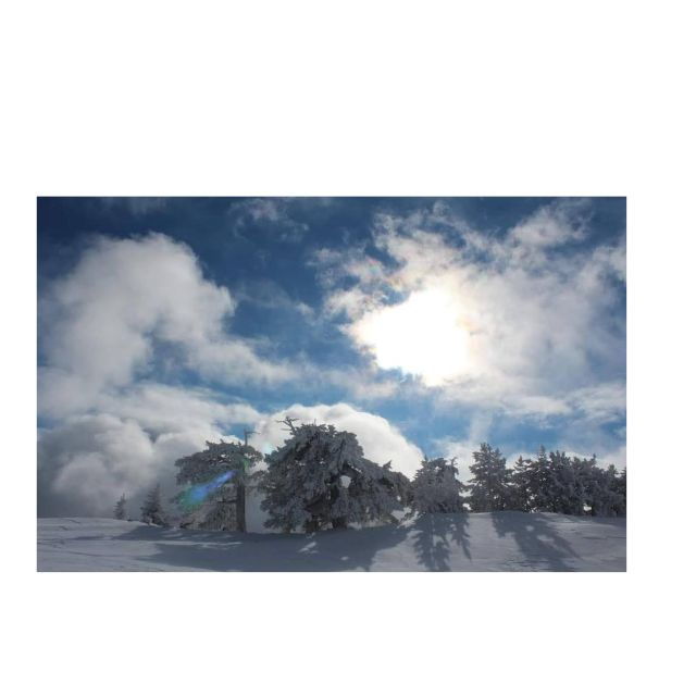 Snowshoeing in the Pollino National Park