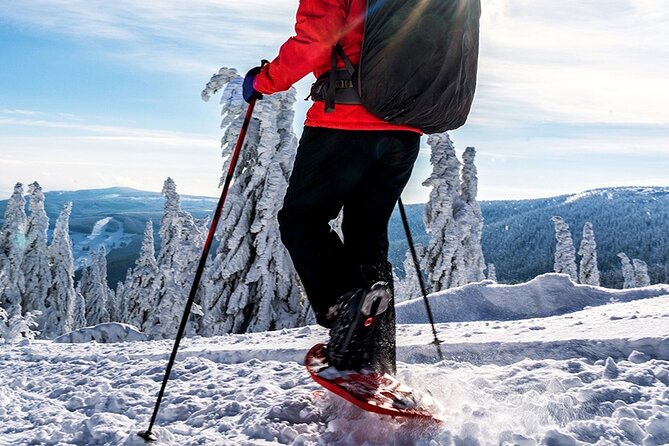 Snowshoeing Tour in the Heart of Pure Arctic Nature - Good To Know