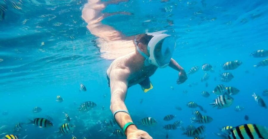 Soma Bay: Magawish Island & Snorkeling Tour W Buffet Lunch