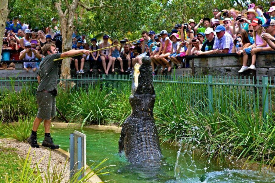 Somersby: Australian Reptile Park Day Pass – 9am to 5pm