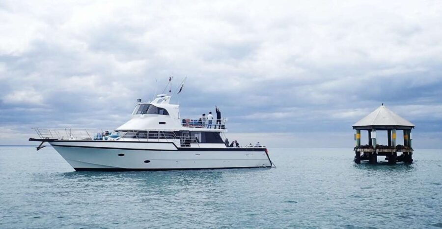 Sorrento: 1.5-Hour Port Phillip Bay Adventure Cruise