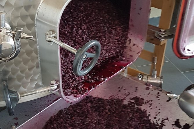 Sorrento-Amalfi Coast: Vineyard and Wine Tasting Private Tour - Good To Know