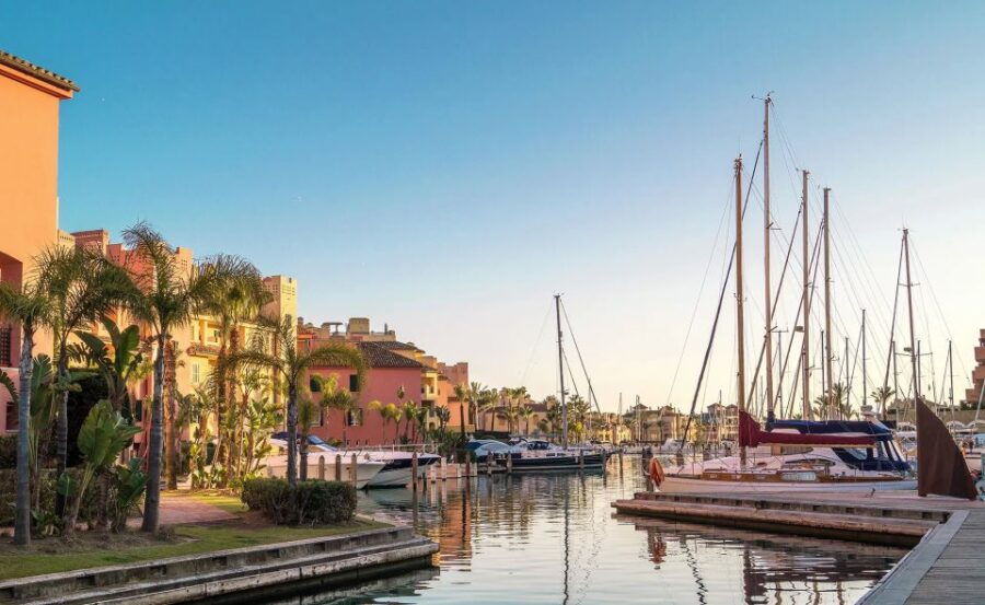 Sotogrande: Dolphin Watching Boat Trip With Drink - Good To Know