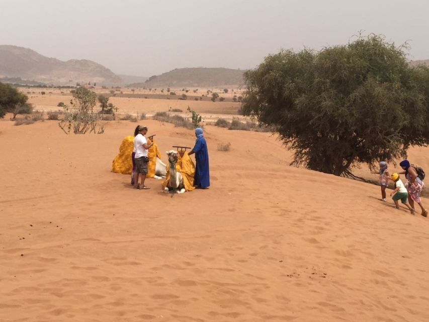 Souss-Massa National Park: Full Day Jeep Tour With Lunch - Good To Know