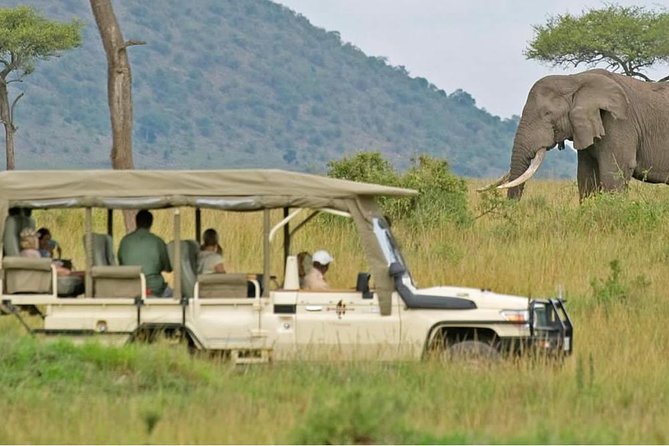 South Africa - Cape Town Best Of Aquila Safari Full Day Tour - Good To Know