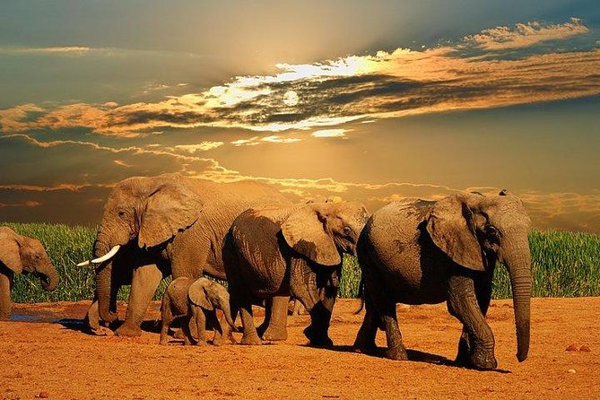 South Africa - Garden Route 4Days Golf Hyatt Resort With Luxury Accommodation