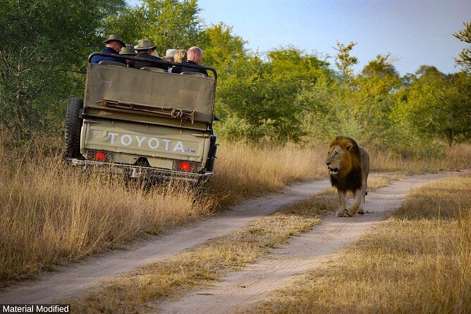 South Africa: See & Experience It ALL in 12 Days, 1st Class Custom Tours - Good To Know