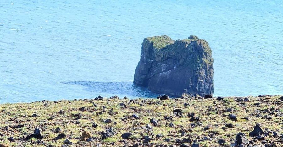 South Coast - 4X4 Private Tour 3 to 4 Passengers - Good To Know