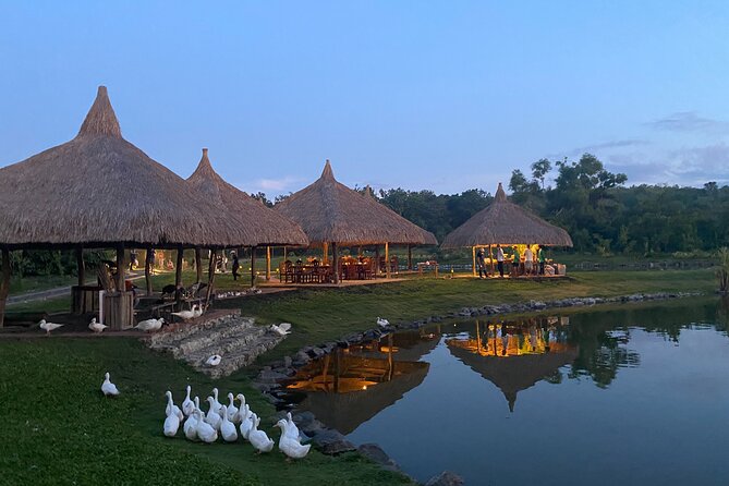 South Farm Tour Panglao in Bohol