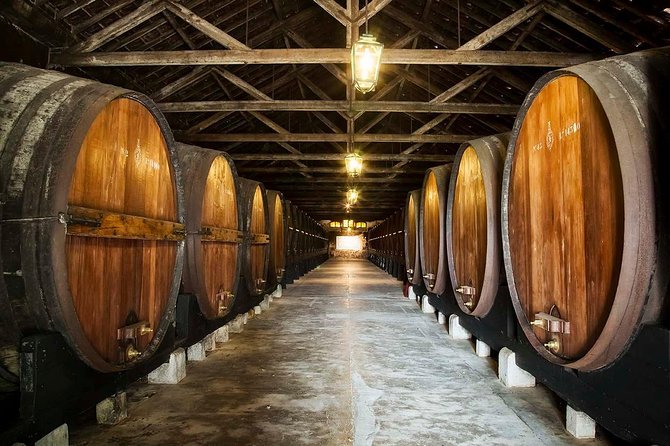 South Portugal Wine Route Private Full Day Tour From Lisbon - Good To Know