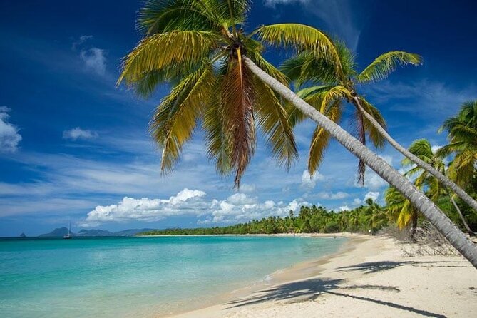 South Shopping & Les Salines Beach Break