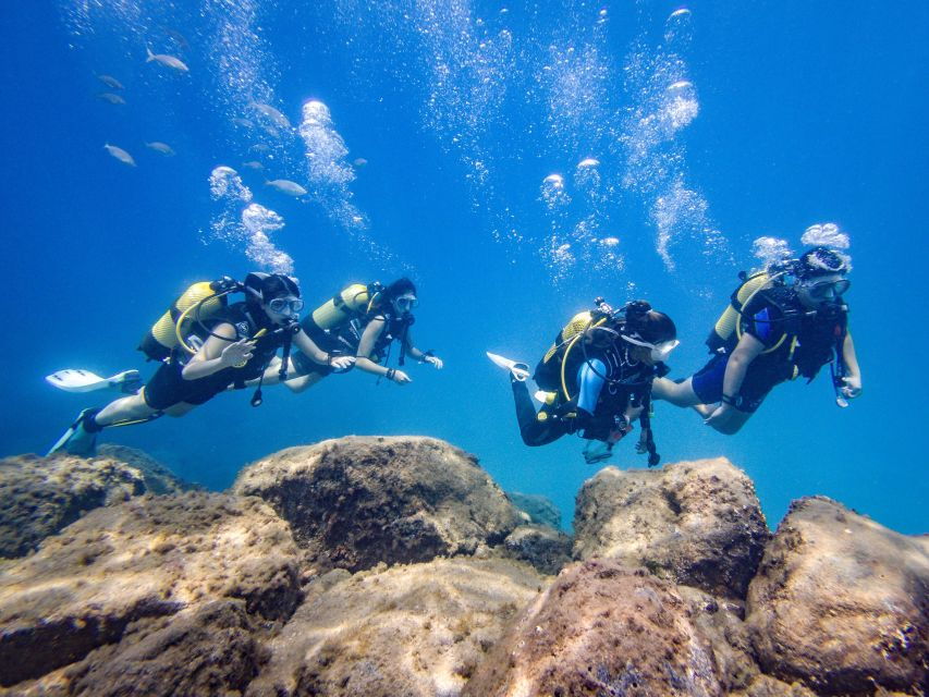 South Tenerife: Beginners Scuba Diving Experience