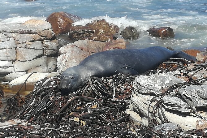 South to North West Rural Tour - Good To Know