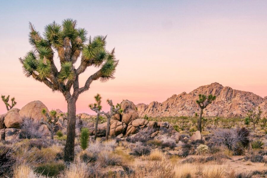Southwest USA: 27-Tour Bundle on Self-Guided Driving App